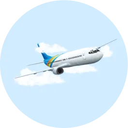 Medical Flight